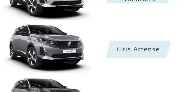 Opel - Gris Artense