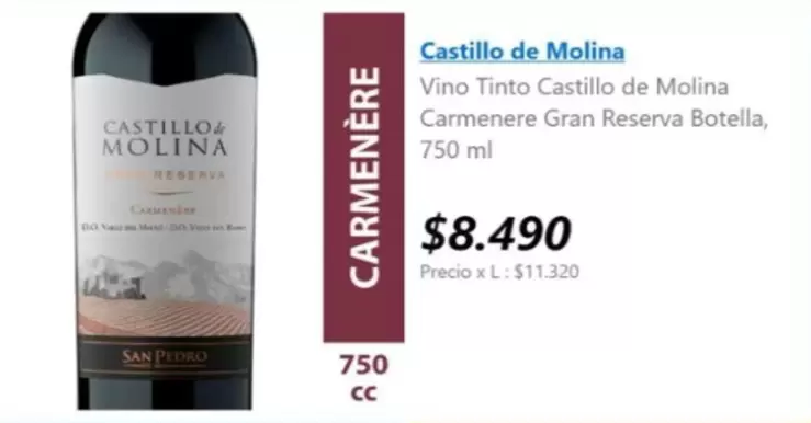 Castillo de Molina - Vino Tinto Castillo De Molina