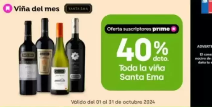 Santa Ema - Toda La Viña