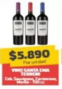 Santa Ema - Vino Santa E-ka