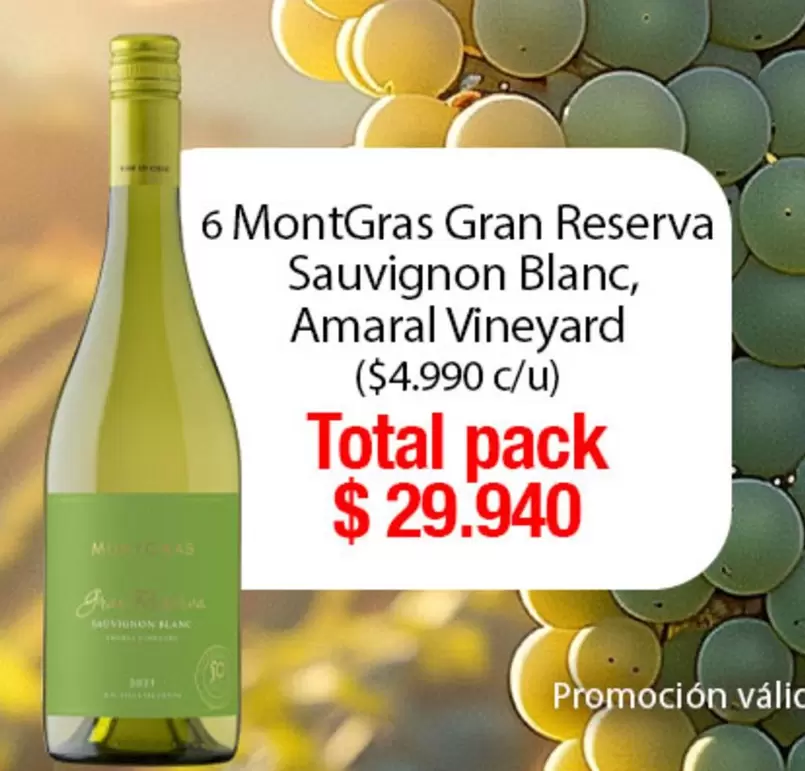 Montgras - 6  Gran Reserva Sauvignon Blanc, Amaral Vineyard