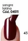 Sangre Lattina