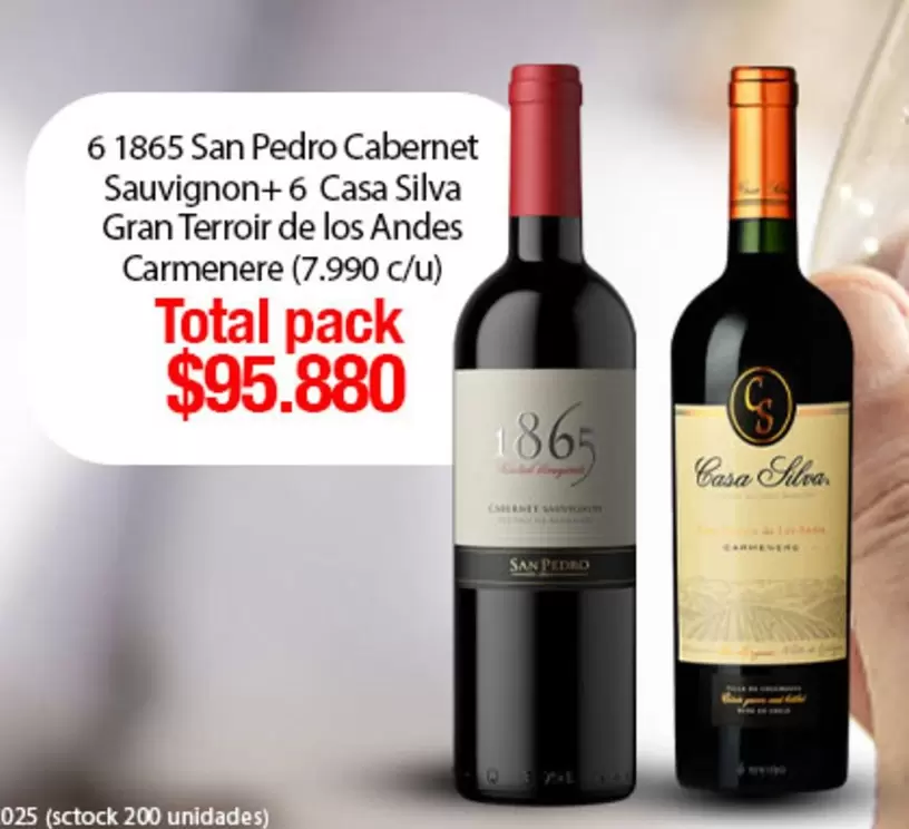 1865 - San Pedro Cabernet Sauvignon+6 Casa Silva Gran Terroir De Los Andes