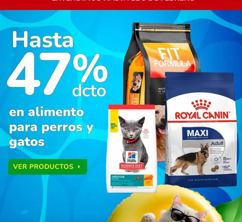 Royal Canin - En Alimento Para Perros Y Gatos