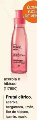 Tododía - Frutal Citrico