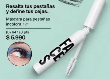 Resalta Tus Pestanas Y Define Tus Cejas