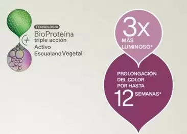 Escuolano Vegetal