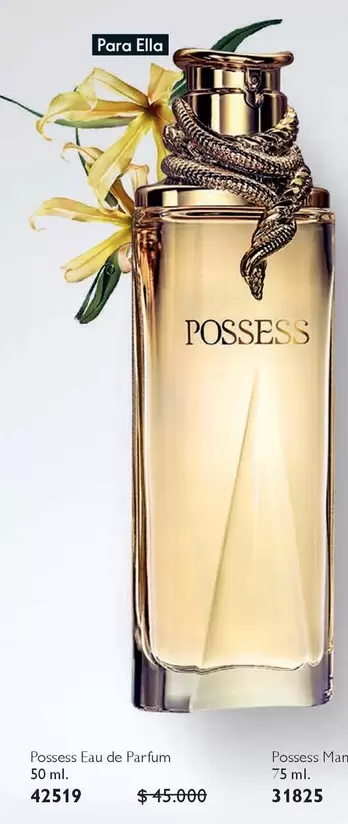 Polaroid - Possous Herb, Possous Herb, 48319
