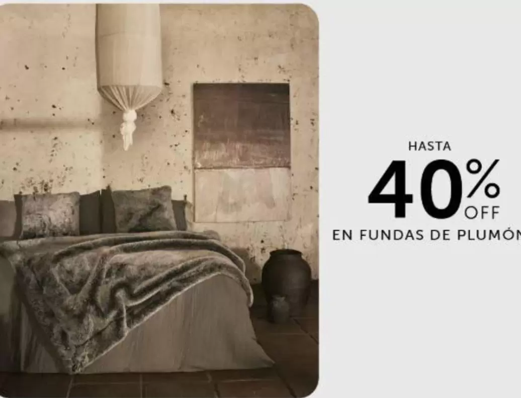 En Fundas De Plumo