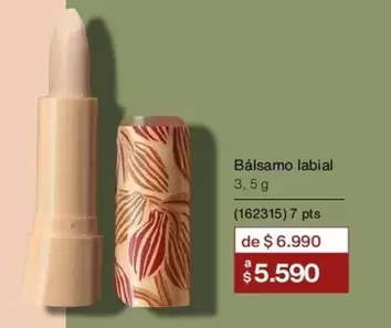 Bálsamo Labial