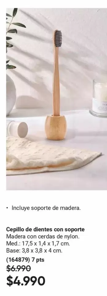 Cepillo De Dientes Con Soporte