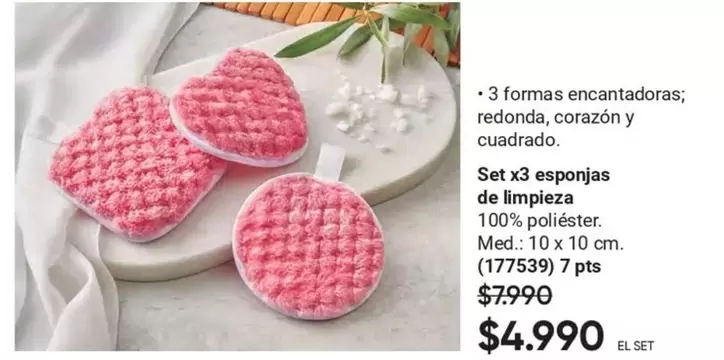 Set X3 Esponjas De Limpieza