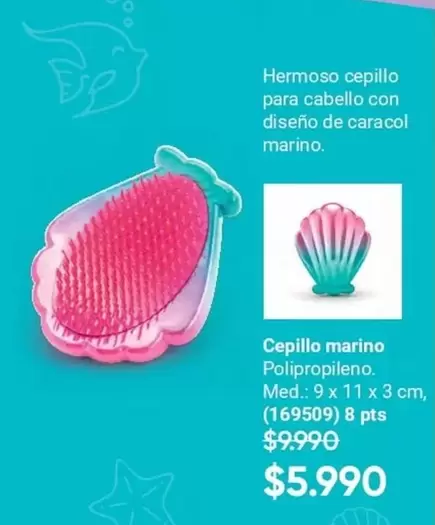 Cepillo Marino