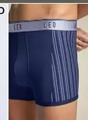 Leo Leo