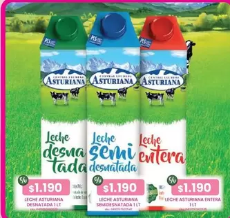 Asturiana - Leche  Desnatada