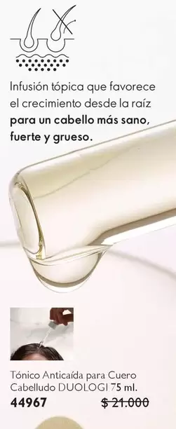 Ténico Anticaída Para Cuero