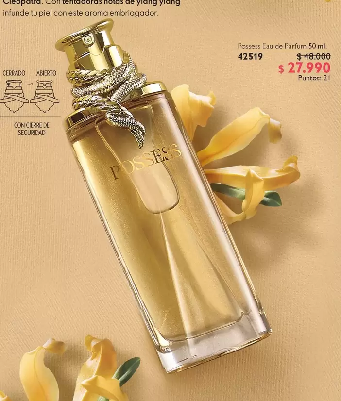Poke-Lau De Parfum 50 Ml