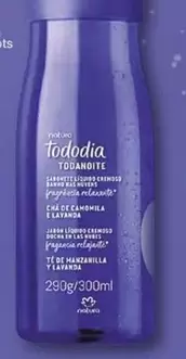 Tododía - Toagnotte