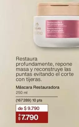 Restaura MiaScara Restauradora