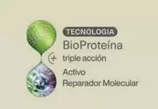 Bioproteína