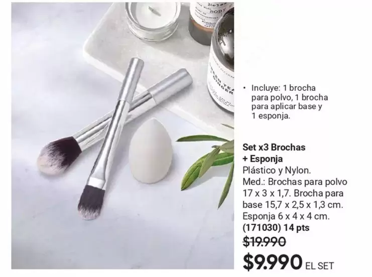 Set X3 Brochas + Esponja
