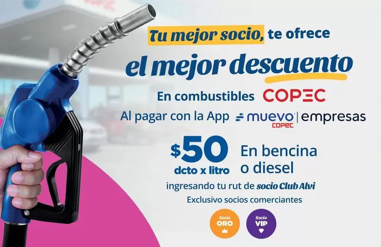 Diesel - En Bencina O
