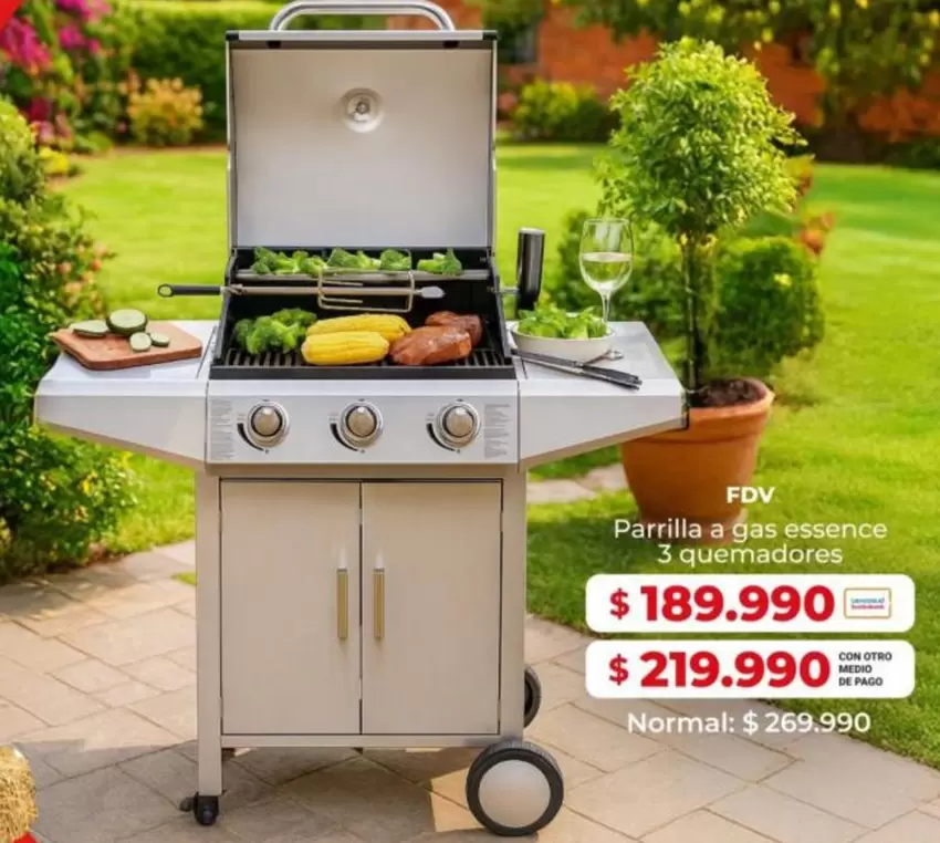 FDV - Parrilla A Gas Essence
