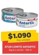Antartic - Atun Lomito