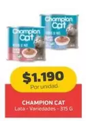 Cat - Champion