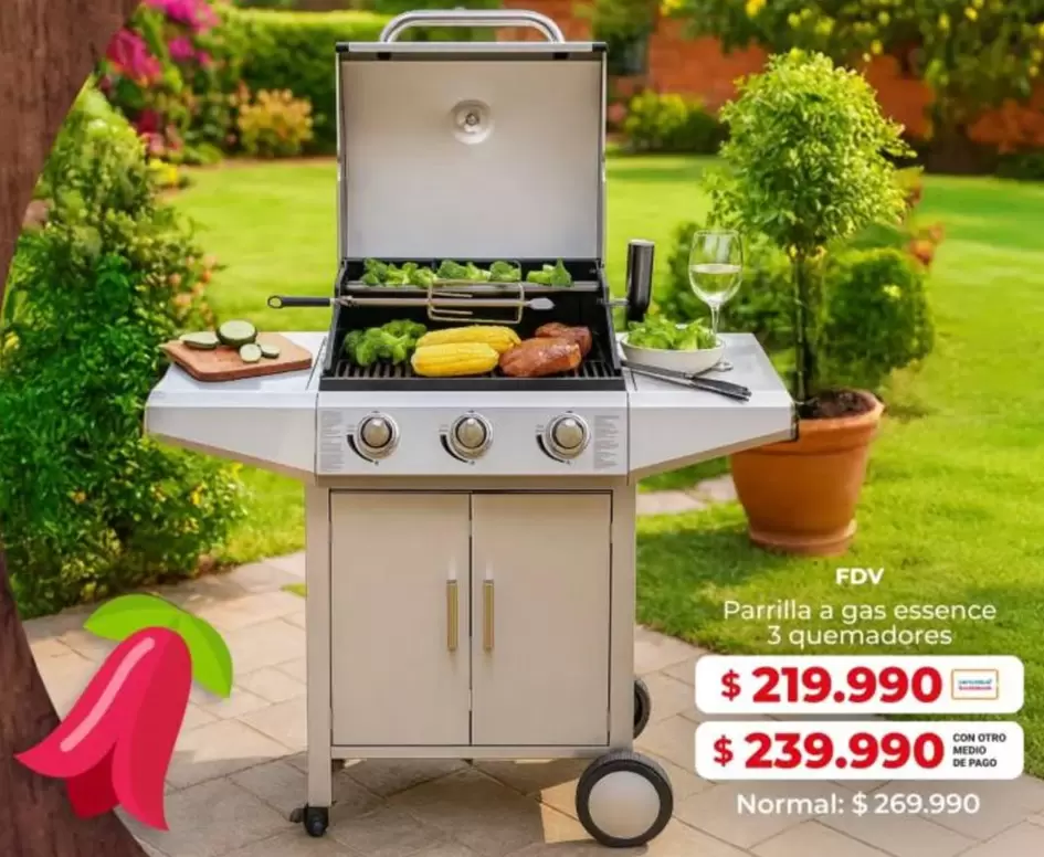 FDV - parrilla a gas essence 3 quenadores