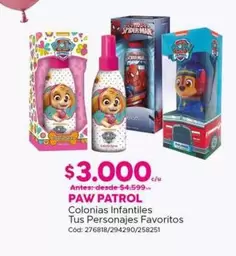 Paw Patrol - Colonias Infantiles Tus Personajes Favoritos