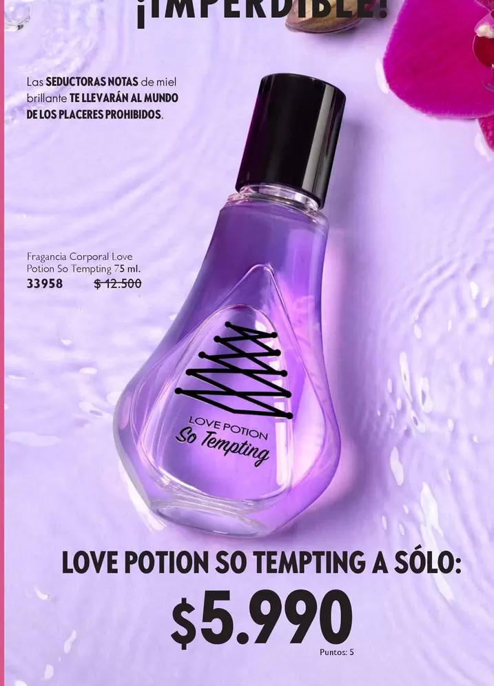 Love Potion -  So Tempting A Solo
