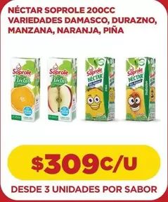 Soprole - Nectar  200cc Variedades Damasco, Durazno, Manzana, Naranja, Pina