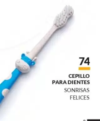 Cepillo Para Dientes