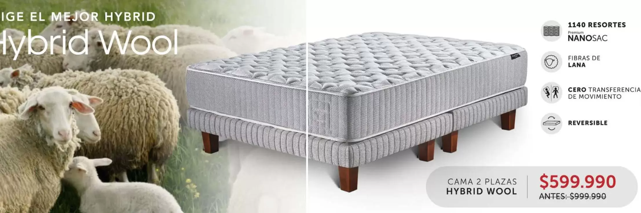 Cama Hybrid Wool Hybrid Wool