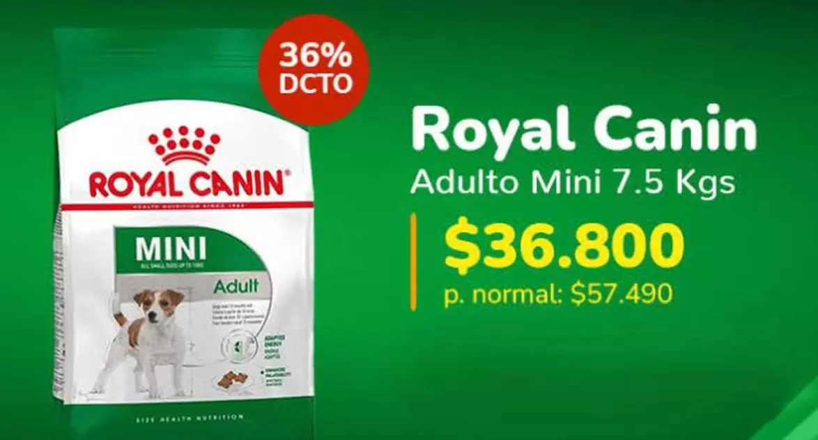 Royal -  Canin