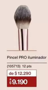 Pincel Pro IluminadoR