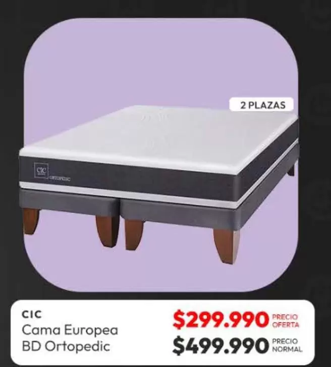 Cic - CIC BDT Ortopedic