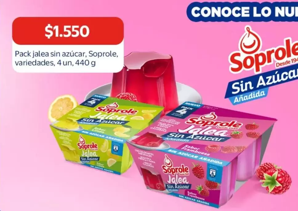 Soprole - Pack Jales Sin Azúcar, , Variedades, 4un