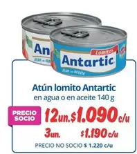 Antartic - Atun Lomito