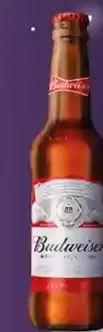 Budweiser - Chocolate