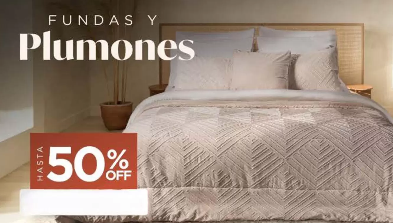Fundas Y Plumones