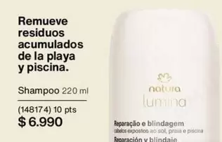 Natura - Residuos Acumulados De La Playa Y Piscina