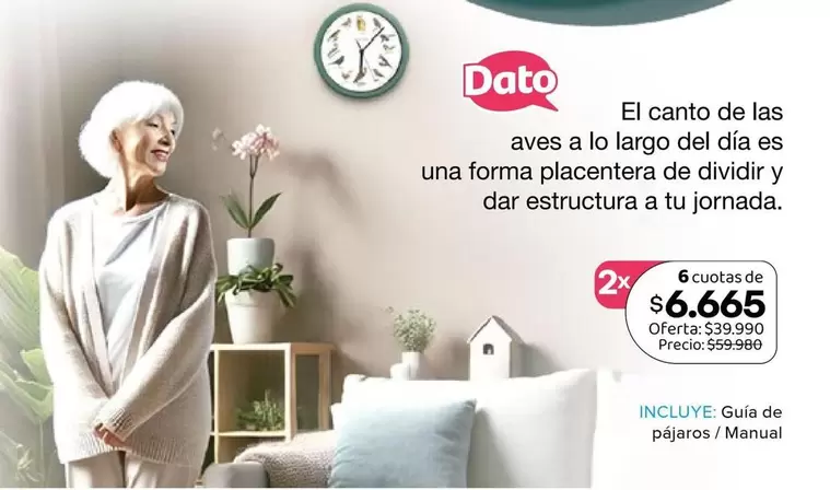 El Canto De Las Aves A Io Largo Del Dia Es Una Forma Placentera De Dividi Y Dar Estructura A Tu Joranda