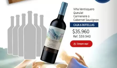 Ventisquero - Viña  Queujat