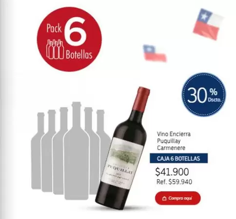 Carmenere - Vino Enciera Puquillay