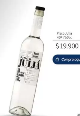 Pisco Julia