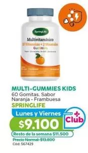Springlife - Multi-GUMMIIES KIDS 60 Gomitas