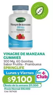 Springlife - Vinagre De Manzana Gummies