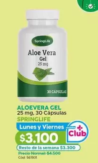 Springlife - Aloevera Gel